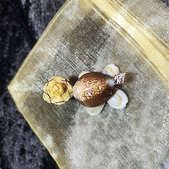 MINI COWRIE SHELLS TURTLE DECORATION DISPLAY WEALTH & FERTILITY - Picture 4 of 11